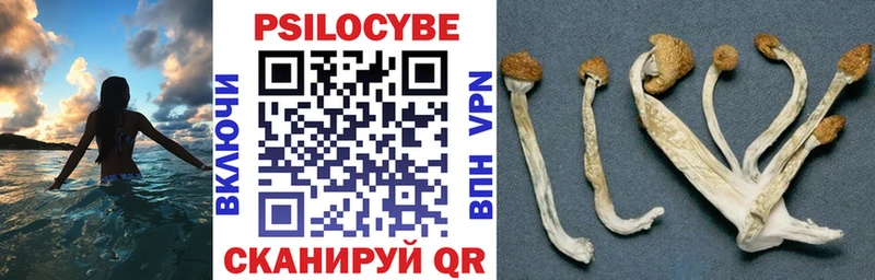 Псилоцибиновые грибы Magic Shrooms  Купить  Елизово 